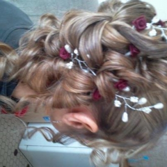 Chignon