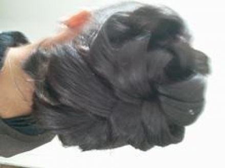Chignon